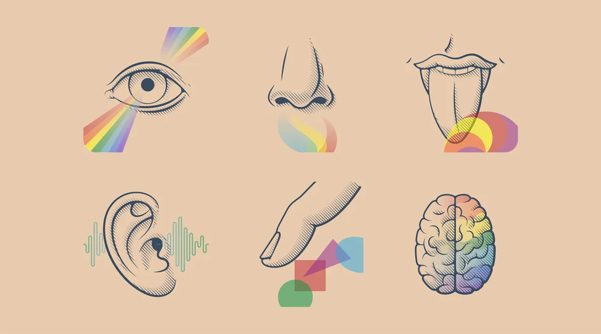 Piirroskuvat eri aisteista. Esimerkiksi hajuaistia kuvaa nenä.