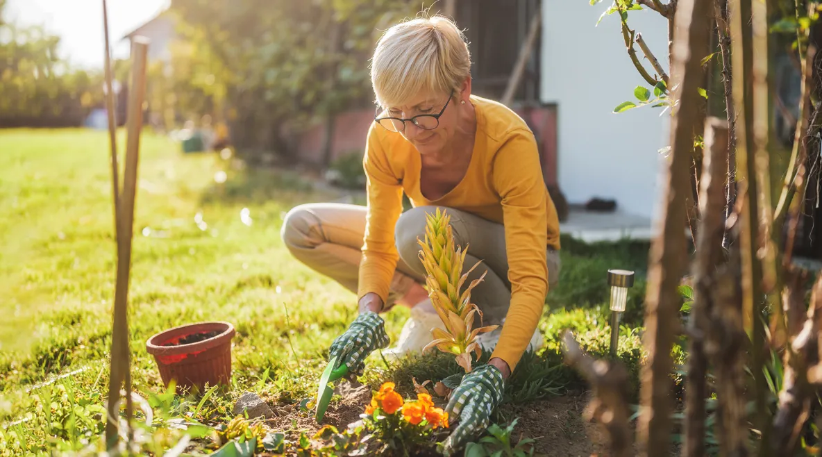 Nainen istuttaa kukkia