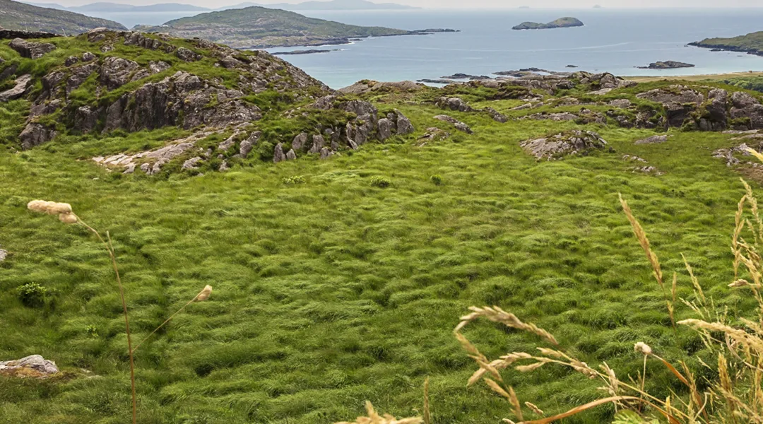 The Ring of Kerry, näkymä Atlantin valtameren rannalla Irlannissa