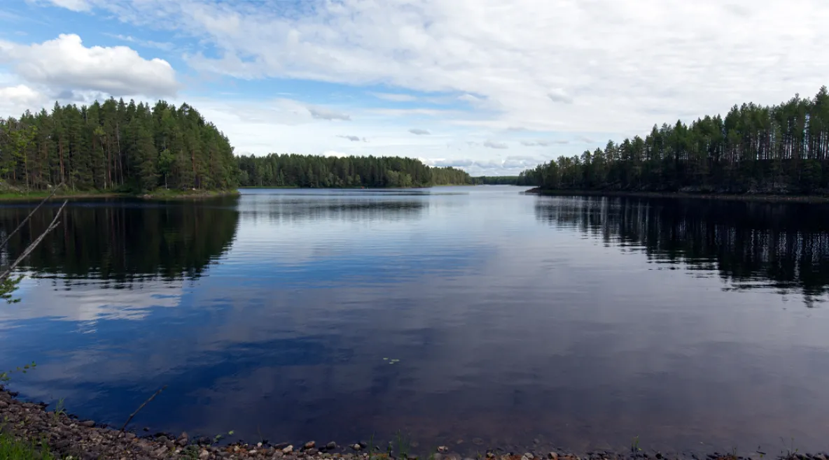 Tyyni järvi, jonka reunalla saaria puineen.