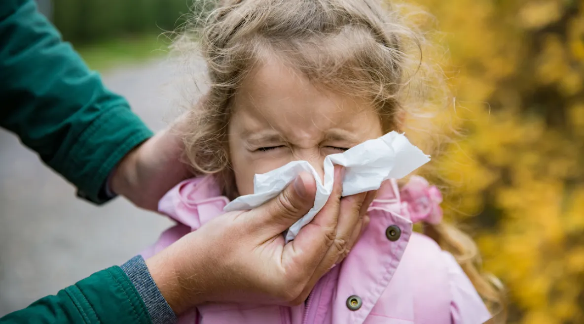 Nuhainen lapsi niistää aikuisen avustuksella nenäliinaan.