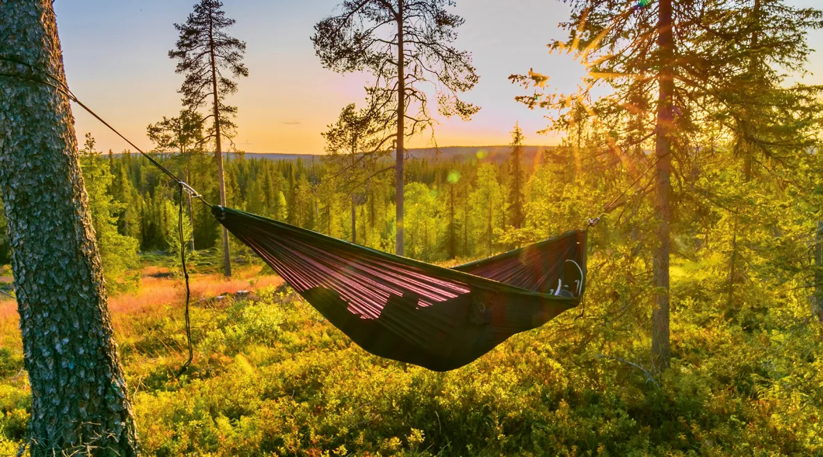 Ihminen riippumatossa kauniin metsän keskellä.