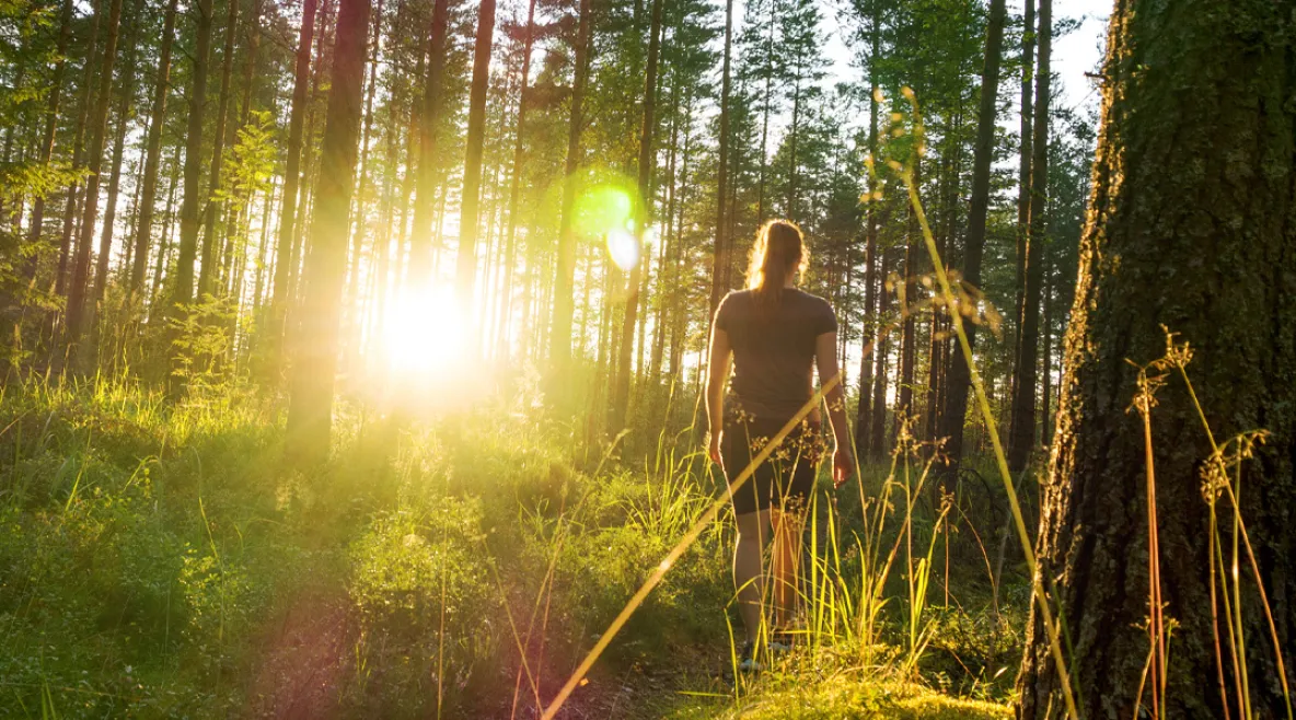 Tutkimusten mukaan jo 15 minuuttia voi tuoda mitattavia terveyshyötyjä. Nainen kävelee metsässä auringonpaisteessa.