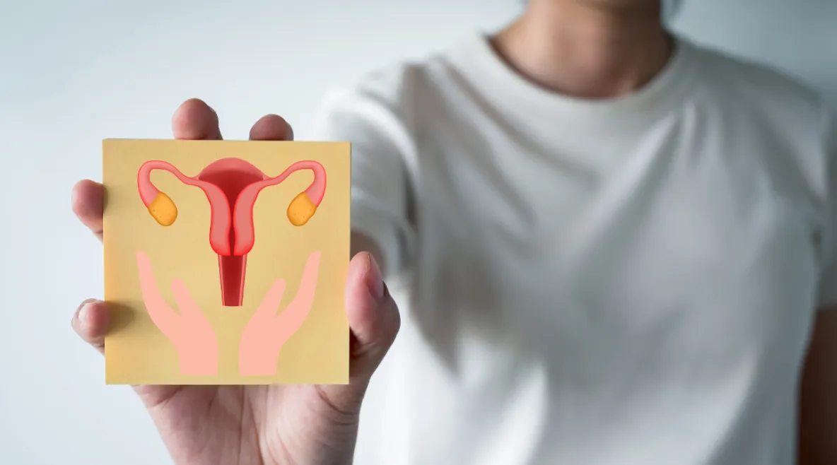 Henkilö itää kädessään kuvakorttia, jossa piirroskuva munasarjoista.