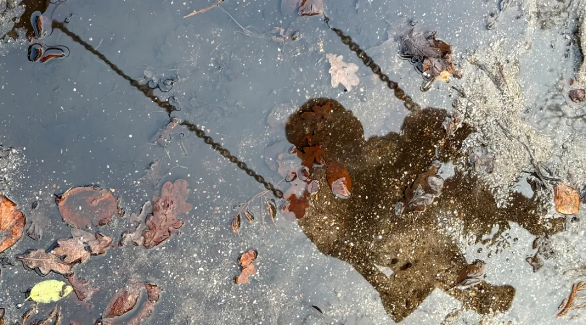 Keinussa istuvan lapsen varjo heijastuu sadeveteen muodostuneessa lammikossa, jonka pinnalla on syksyn lehtiä.