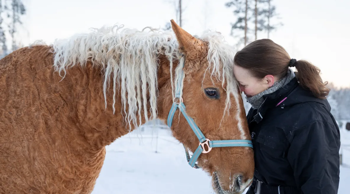 Terveydenhoitaja Nina Salonen halaa Peppi-hevosta.