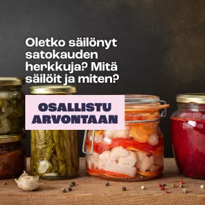 Säilöttyjä herkkuja purkeissa.