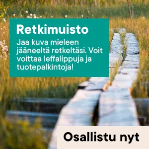 Tarkastaja-kuvakisan mainos.