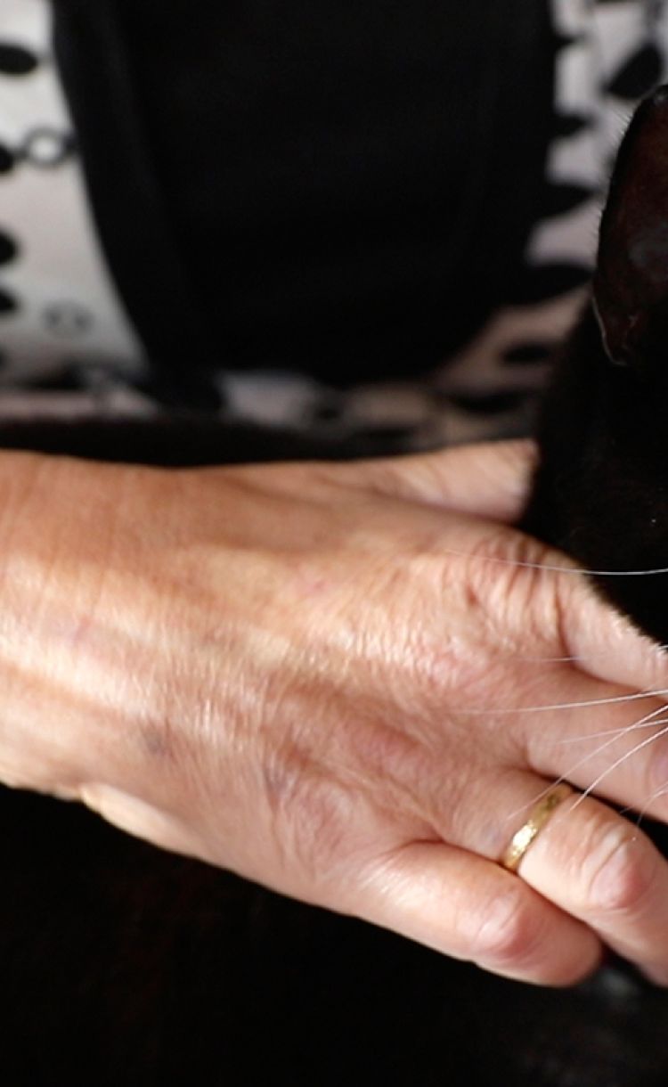 Arja Ahtaanluoman käsisiirre, jolla silittää sylissään olevaa kissaa.