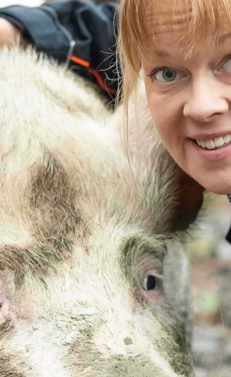 Sairaanhoitaja Annette Haavasoja halaa porsasta. Katse kameraan.