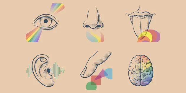 Piirroskuvat eri aisteista. Esimerkiksi hajuaistia kuvaa nenä.