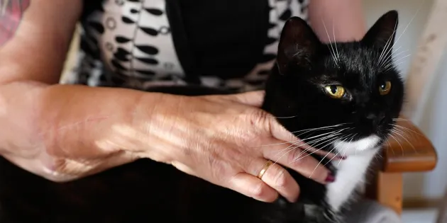 Arja Ahtaanluoman käsisiirre, jolla silittää sylissään olevaa kissaa.