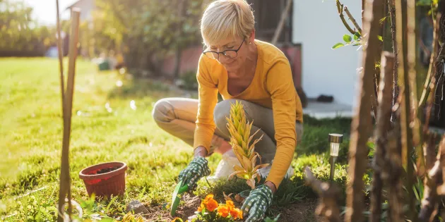 Nainen istuttaa kukkia