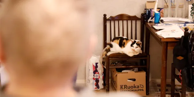 Vanhus näkyy kuvassa etualana epätarkkana hahmona selin kameraan. Vanhus istuu kotona tuolissa. Kuvassa näkyy uonekaluja ja tavaroita ja kissa.