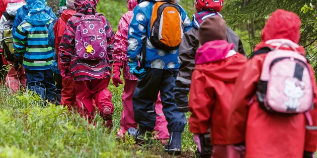 Päiväkotilapset kävelevät metsässä jonossa sadevarusteissa.