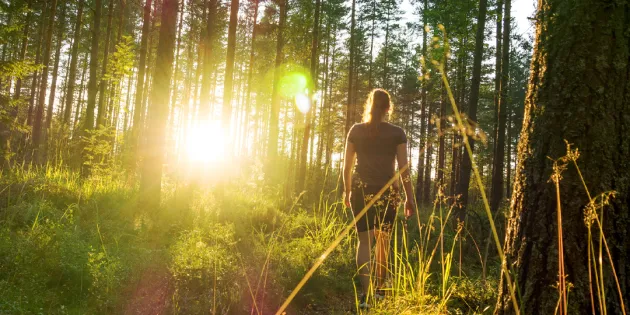 Tutkimusten mukaan jo 15 minuuttia voi tuoda mitattavia terveyshyötyjä. Nainen kävelee metsässä auringonpaisteessa.
