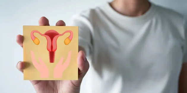 Henkilö itää kädessään kuvakorttia, jossa piirroskuva munasarjoista.