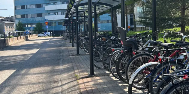 Sairauspoissaolojen määrä on pysynyt kunnissa lähes ennallaan viime vuodet. Työmatkalaisten pyöriä katoksen alle parkkeerattuna.