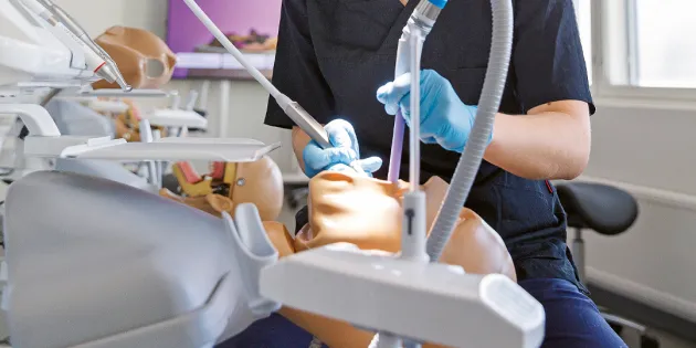 Suun terveys vahvemmin osaksi hoivatyötä – ministeriön työryhmä pohtii ohjeistuksia. Opiskelija harjoittelemassa suunhoitoa mallinuken kanssa.