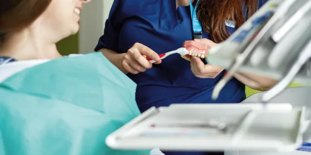 Suuhygienisti näyttää mallihampailla potilaille hampaiden harjausta.