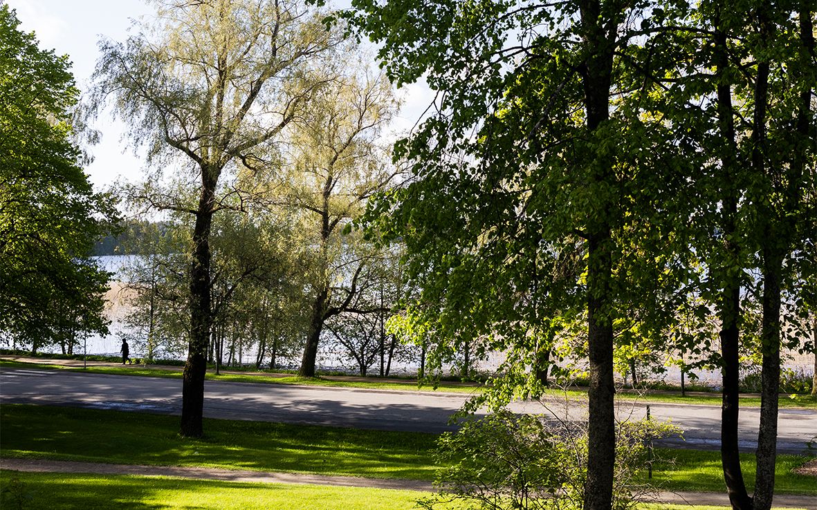 Näkymä puiston läpi järvelle.