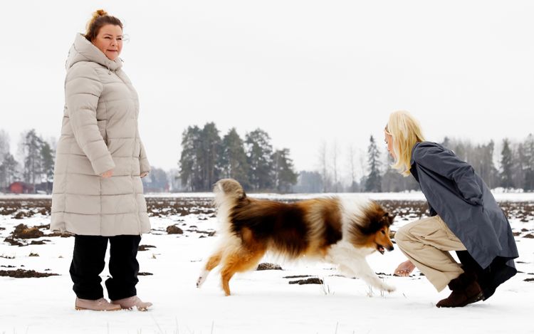 Tanja Nyström ja hänen tyttärensä Jade ulkoiluttavat perheen koiraa peltomaisemissa.