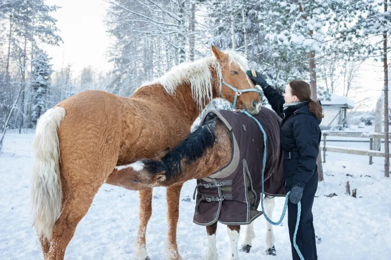 Terveydenhoitaja Nina Salonen sekä Peppi ja Mona hevoset.