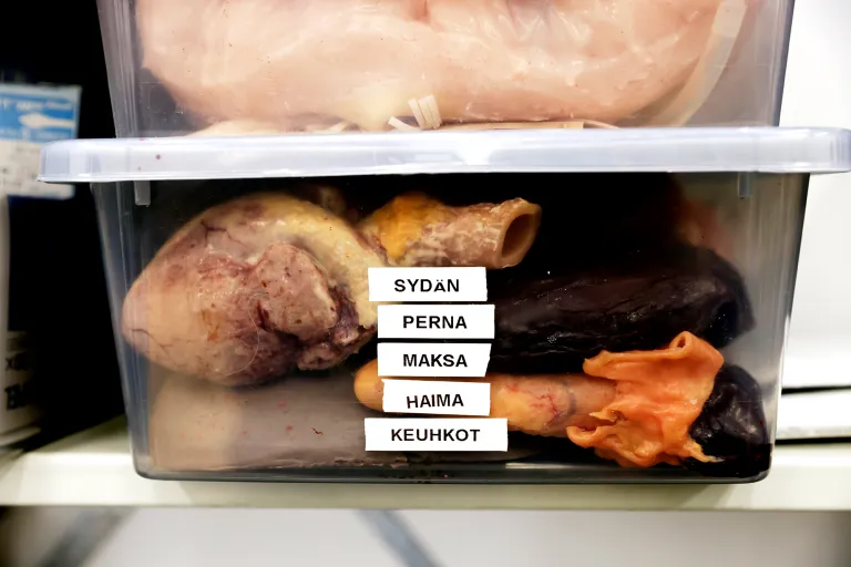 Tekoelimiä Syke-elokuvan kuvauksissa