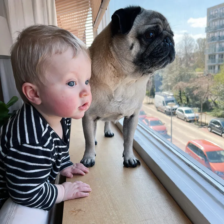 Daniël-poika ja perheen Winston-mopsi.