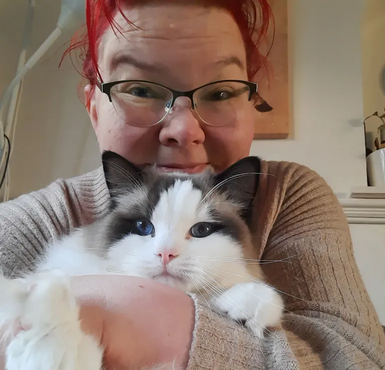 Kissa asettuu usein Päivi Mattssonin syliin.