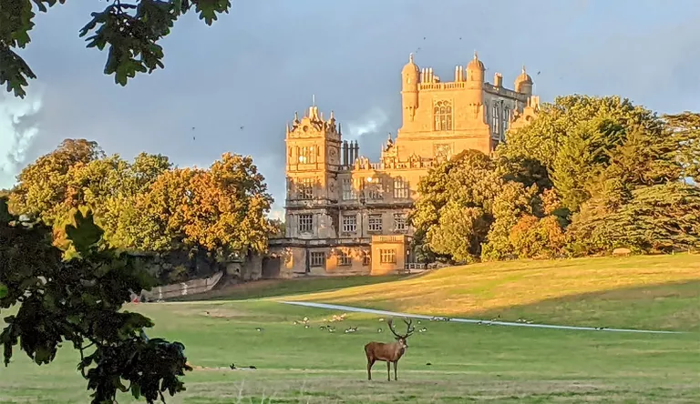 Wollaton Hall.