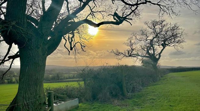 Oxfordshiren peltomaisema.