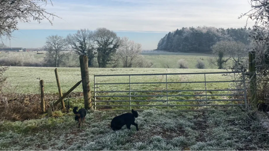 Oxfordshiren peltomaisema.