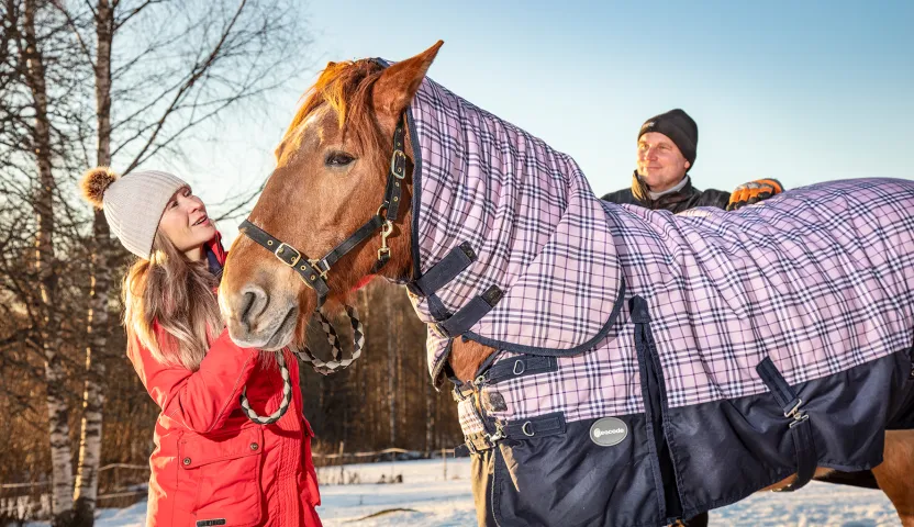 Merja Ahonen ja Aki Parviainen hoitamassa hevosta.