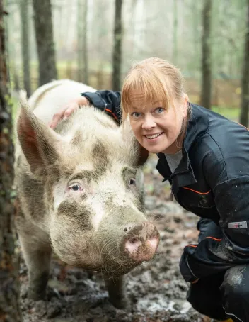 Sairaanhoitaja Annette Haavasoja halaa porsasta. Katse kameraan.