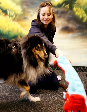 Ben-koiraa leikittävät koirahoitaja Ljudmila Filonova ja Irja.